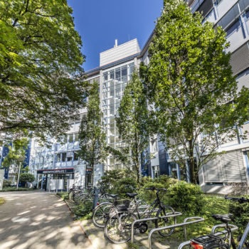Bildmodul