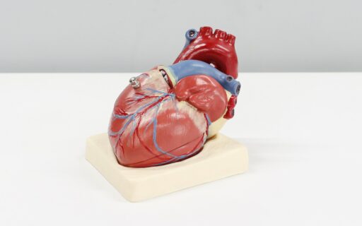 CVD.NRW Mini-Symposium: Gesundheitsdaten für die Herz-Kreislauf-Forschung