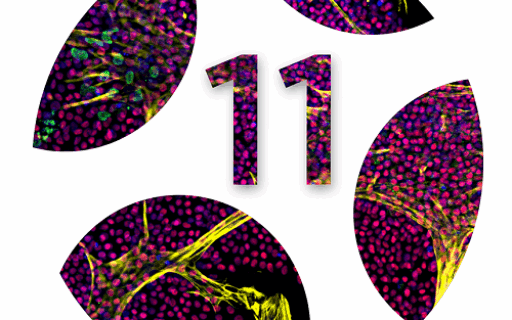 International Meeting