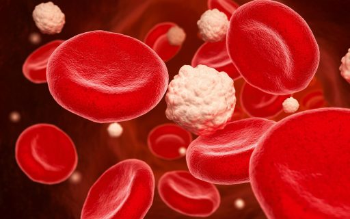 LifeScienceNet Düsseldorf meets BioCologne