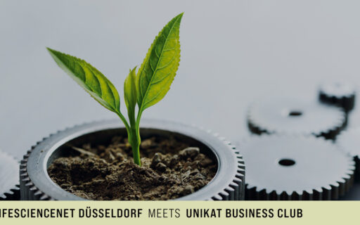 Connect & Grow: Wachstum neu denken – mit den richtigen Fördermitteln